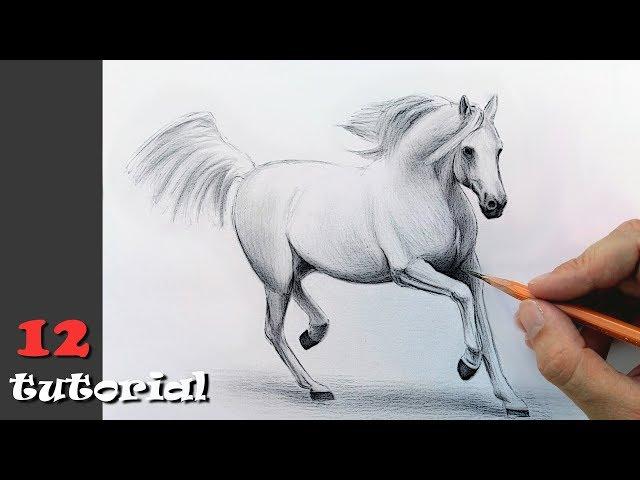 How to draw a horse (a horse) with a pencil? A staged lesson with an explanation!