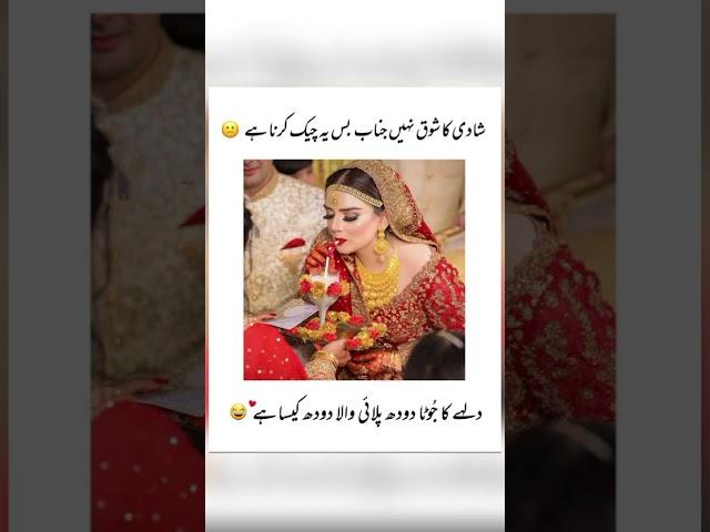 Sirf dudh Pena ha #quotes #poetry #shorts #foryou #islamicvideos #deeplines