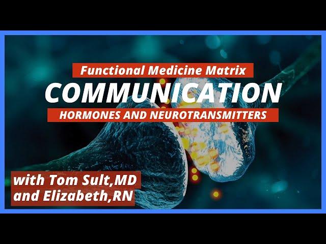 Hormones and Neurotransmitters | The Communication Node of the Functional Medicine Matrix