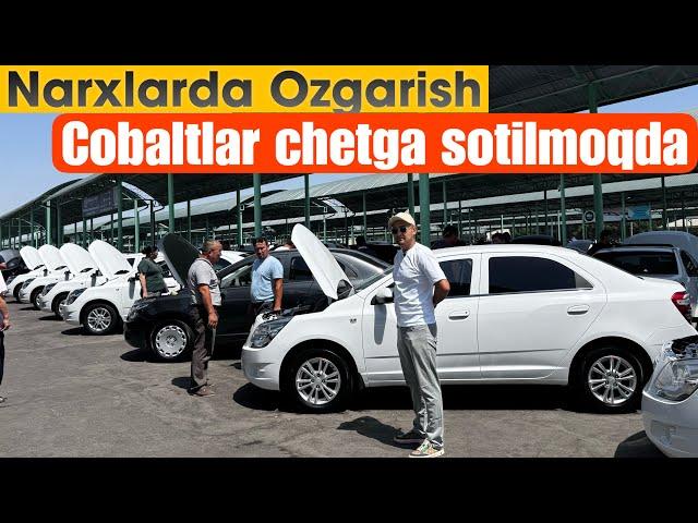 Xalq toydi Sergeli moshina bozori narxlari 2024