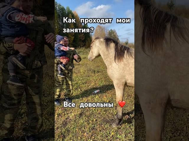 Как проходят мои занятия? #лошади #equestrian #horses #деревня #любовь