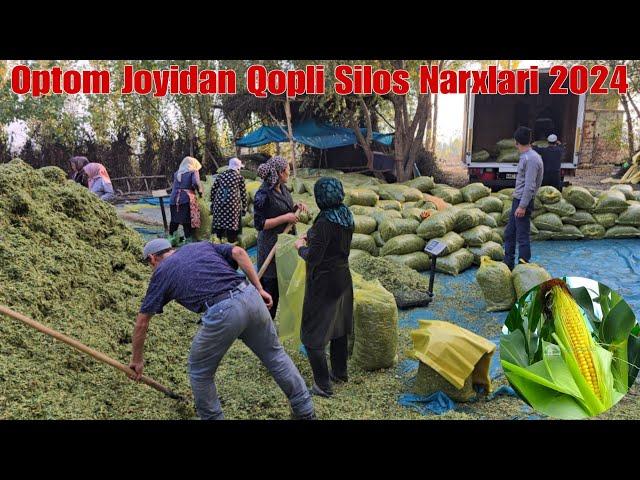 Optom Joyidan Silos Narxlari Uzbekistan Boylab Dastafka