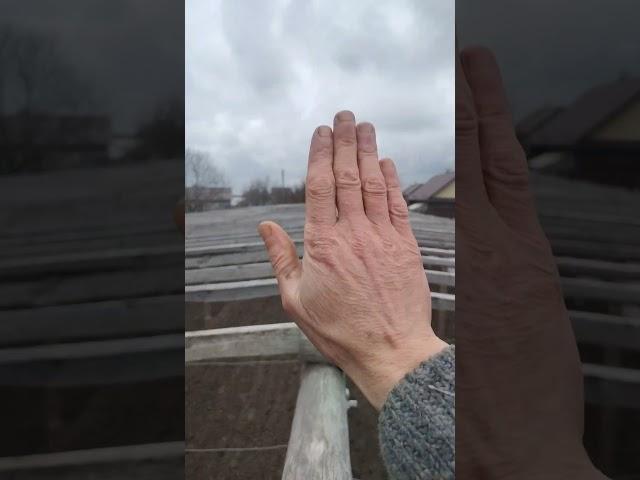 Короед на деревянной теплице. ч. 2.