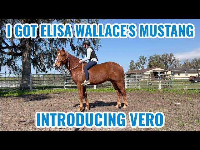 I GOT ELISA WALLACE'S MUSTANG | Vero 1