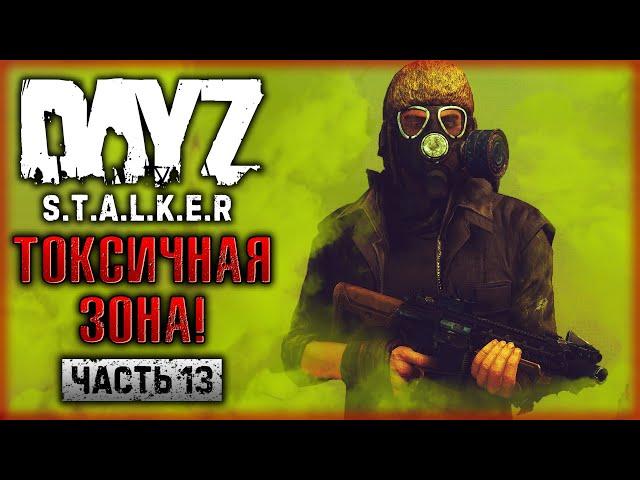 ВНИМАНИЕ, СТОЙ!!! ДАЛЬШЕ ТОКСИЧНАЯ ЗОНА! | DayZ Anomaly Stalker Pve ️ | (часть 13)