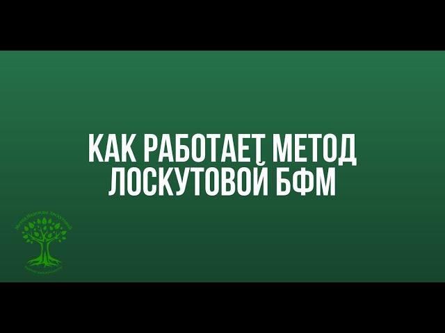 Как работает метод Лоскутовой БФМ?