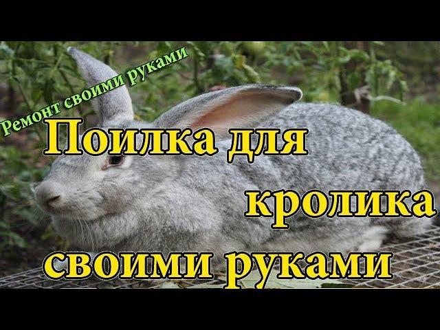 Поилка для кроликов своими руками,легко и быстро