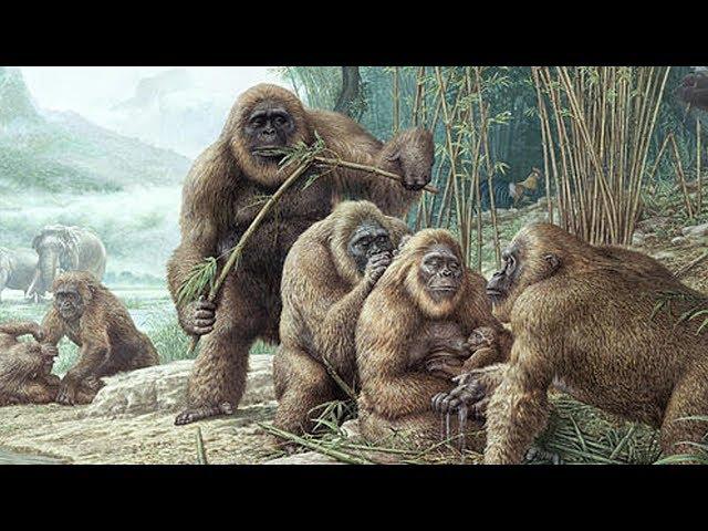 The Earth 100,000 Years Ago | 100,000 Subscribers Special