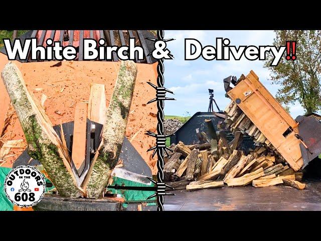 Splitting White Birch & Firewood Delivery