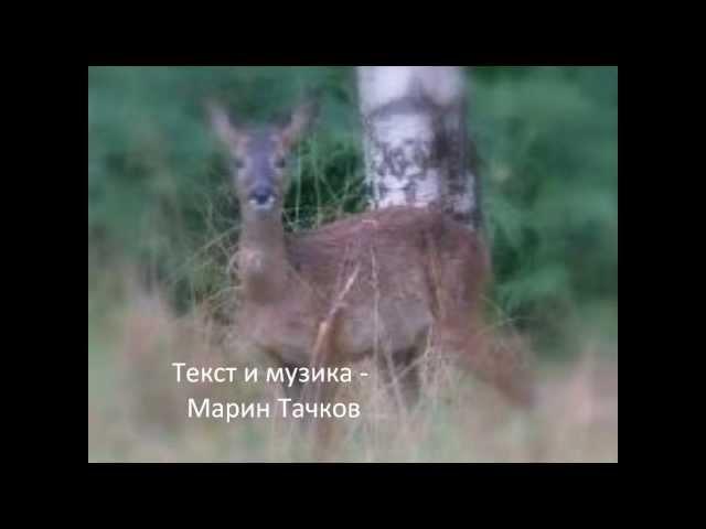 Марин Тачков - Щедрото дете.wmv