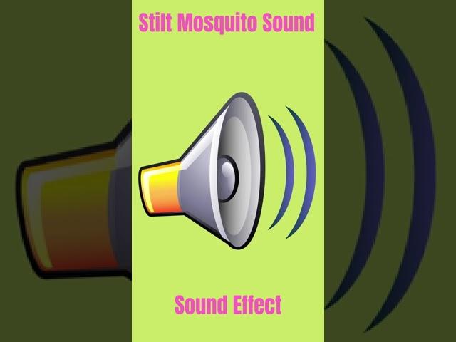 Stilt Mosquito Sound - Sound Effect