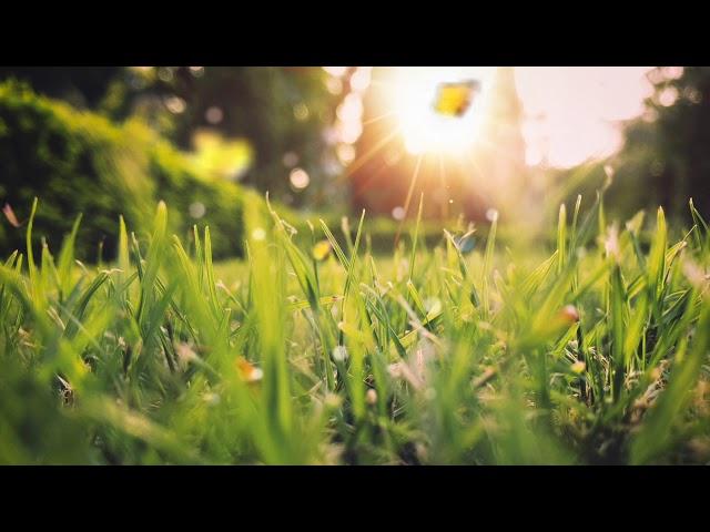 Happy Uplifting Background Music For Spring