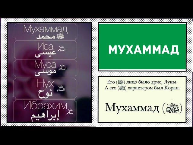  Красивые популярные и известные мусульманские имена для мальчиков