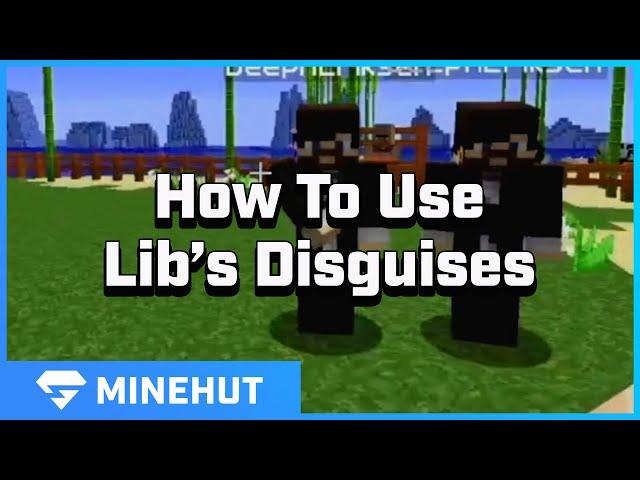 Lib's Disguises Tutorial | Minehut 101