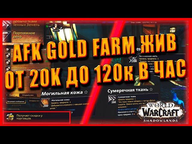 AFK GOLD FARM ОТ 20000 ДО 120 000 ЗОЛОТА В ЧАС ! World of Warcraft Shadowlands 9.0.2