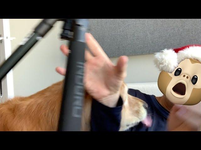 UNBOXING ROBLOX TOYS w/ KOPI THE ATTACK DOG!! ️FACECAM️