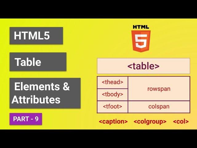 HTML5 Table Elements & Attributes with Example | colgroup, col, thead, tbody, tfoot elements