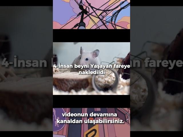 2022'de Yaşanan Bilimsel Gelişmeler videosuna kanaldan ulaşabilirsiniz.#bilim #yapayzeka #keşfet