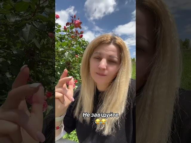 #любовнийприворот #люблюсуши #гроші #подорож