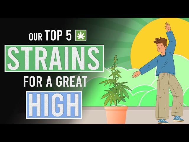 Our Top 5 Weed Strains for a Great High!