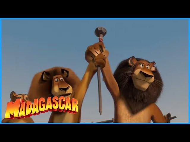 DreamWorks Madagascar | Alex Saves The Day | Madagascar: Escape 2 Africa Movie Clip