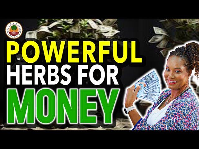 HOW TO USE 4 POWERFUL MONEY HERBS | Yeyeo Botanica