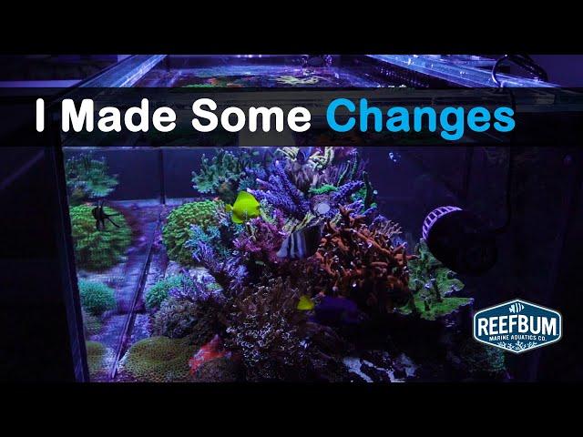 8 Changes I Made To My Reef Keeping Methods