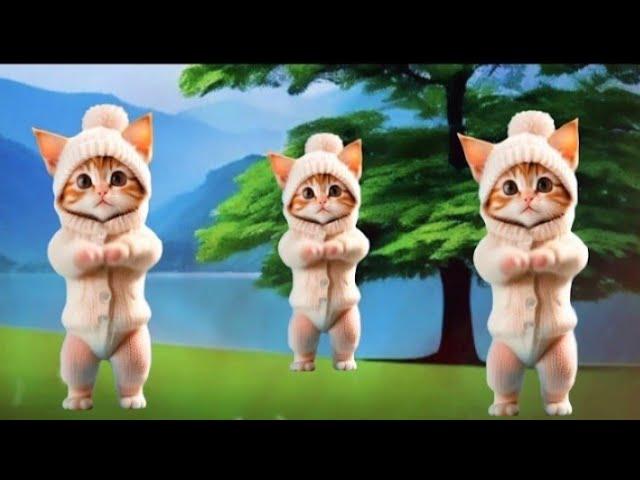 Cat videos funny dance Videos for catsv#funnycats #dancingcat #catlovers  @furry-cornerz