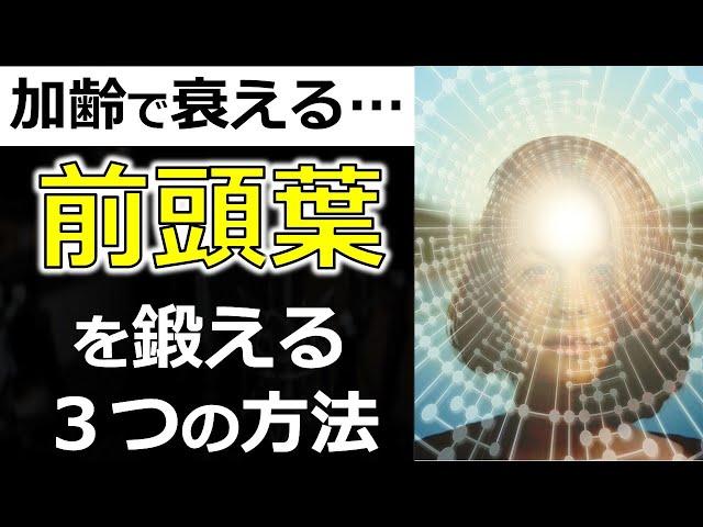 前頭葉を鍛えるトレーニング方法3つのパターンとは？仕事のパフォーマンスを高める方法！