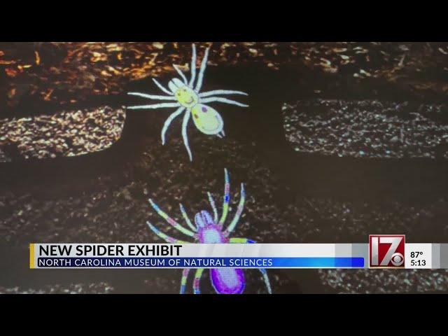 New spider exhibit opens at NC Museum of Natural Sciences