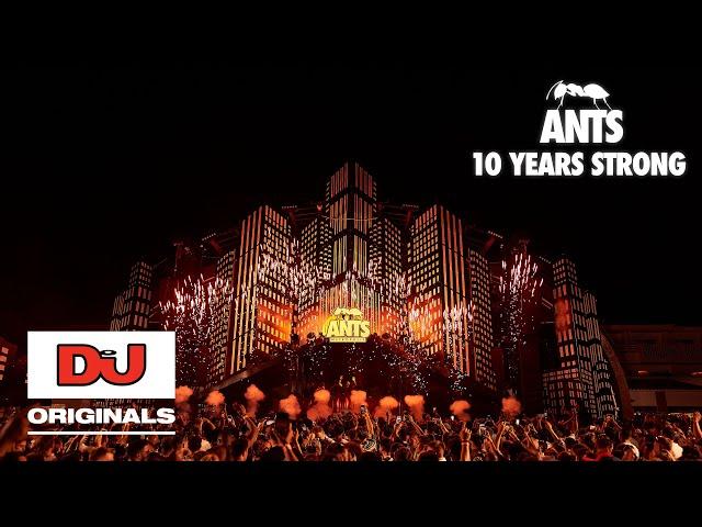 ANTS: A Decade At The Forefront Of Underground Music