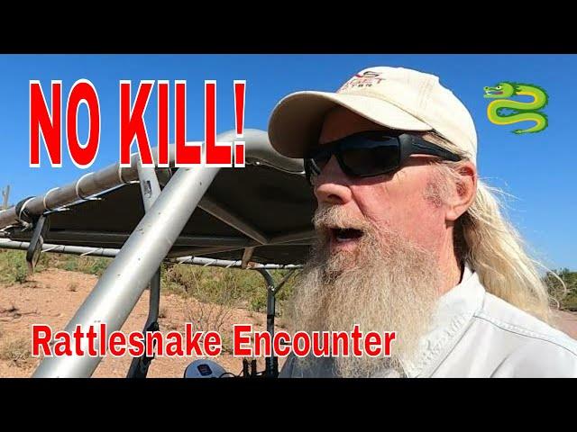 The Arizona Green Mojave Rattlesnake