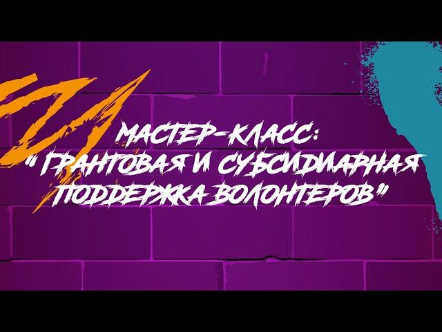 Мастер-класс: «Грантовая и субсидиарная поддержка волонтеров»