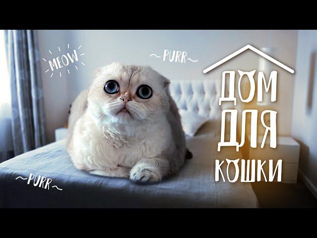 КВАРТИРА для КОШКИ | Обзор двухкомнатной квартиры 62 м2, румтур.