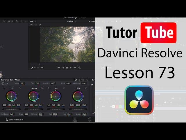 Davinci Resolve Tutorial - Lesson 73 - Scopes