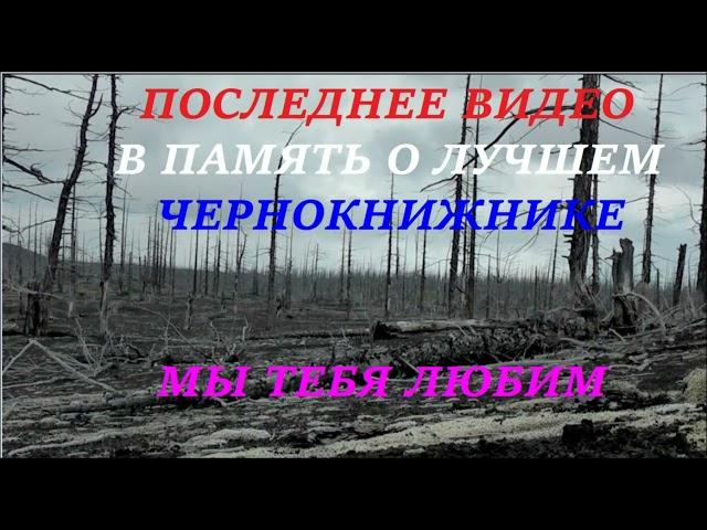 Не смешные моменты и последнее памятное пвп с лучшим чк [Royal Quest]