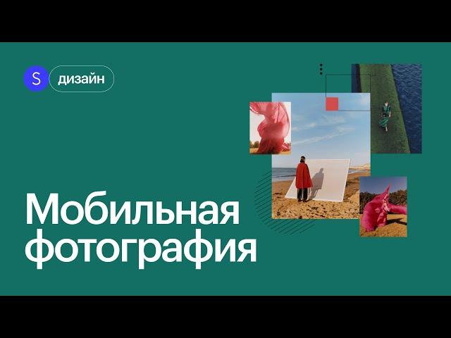 Научить снимать профессионально на мобильный телефон! Интенсив по мобильной фотографии