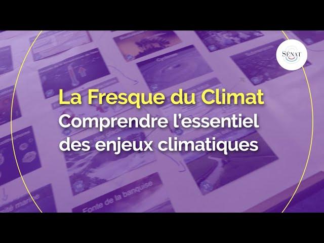 La Fresque du Climat : comprendre l'essentiel des enjeux climatiques