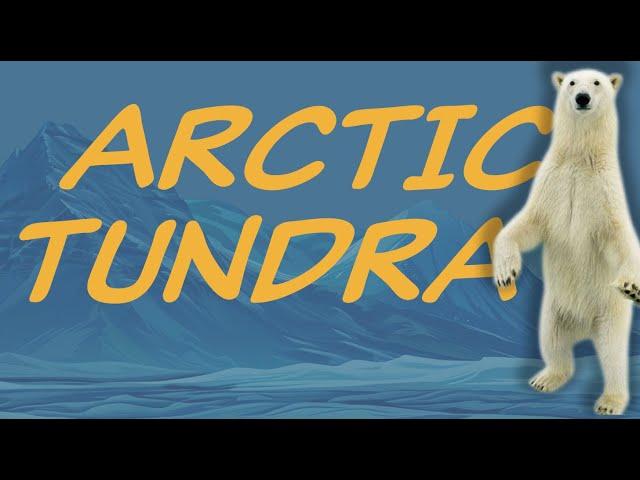 Explore the ARCTIC TUNDRA biome  Nature Ecology & Environment