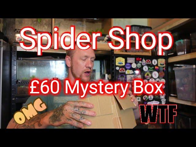 £60 mystery box unboxing from the spider shop