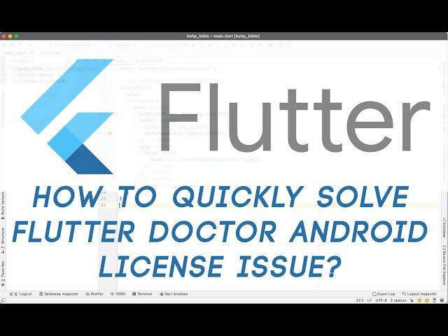 HOW TO QUICKLY SOLVE Flutter Doctor Android license issue?