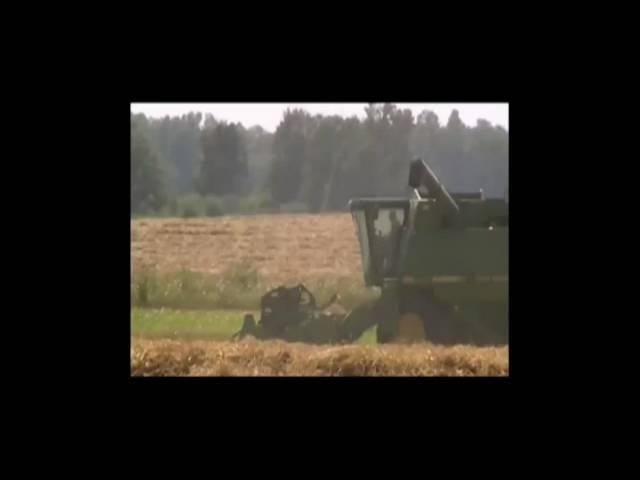 Wheat Harvest Combining and Unloading the Grain FarmsTV