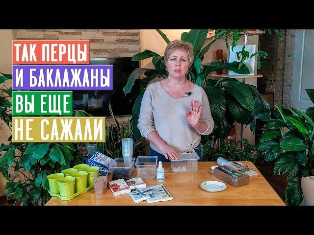 СЕЗОН 2020: ПЕРЦЫ И БАКЛАЖАНЫ сроки посева семян, подготовка грунта, посадка / Садовый гид