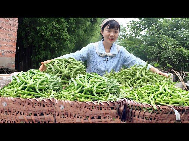 80 cents 1 kilogram of green beans  the girl bought 200 kilograms of sun-dried  full of two baskets