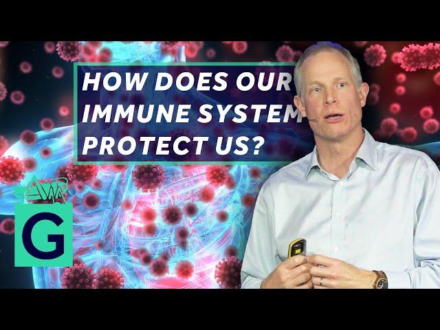 How Does Our Immune System Protect Us? - Robin May