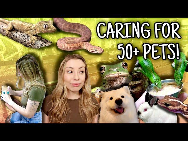 My Daily Routine With 50+ Pets!! (Vlog Style)