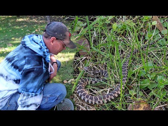 There's a Snake in our Yard!