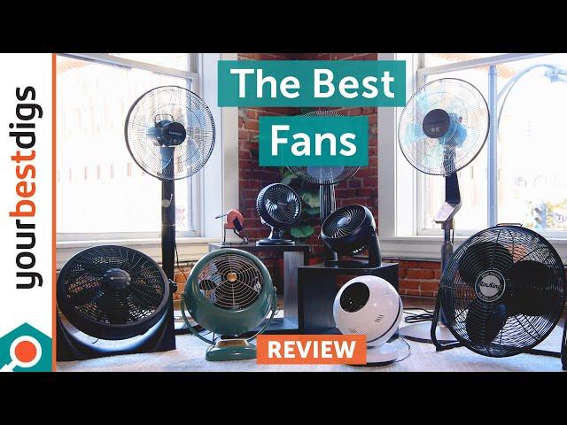 The Best Fans - Reviewed & Tested