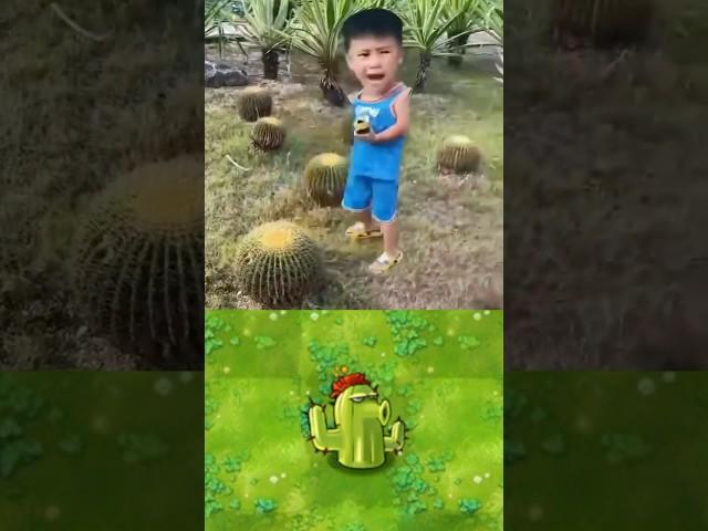 PVZ Plants in real life 