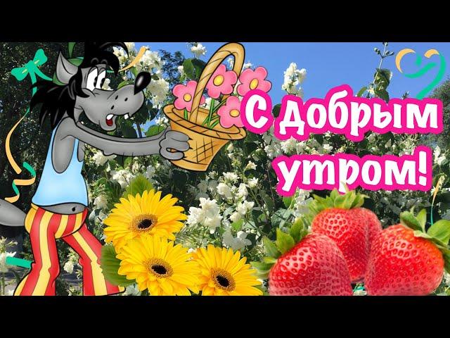 С Добрым Утром и Хорошим Днём! Пусть день будет счастливым! Красивая Открытка Пожелание Доброе Утро!